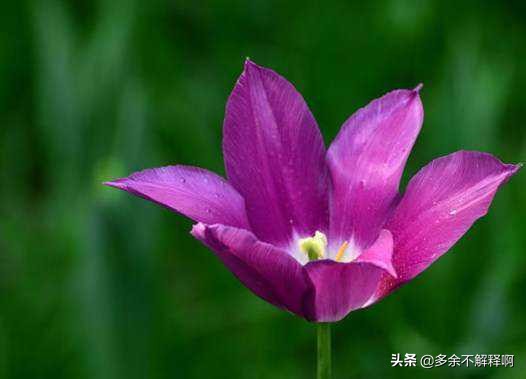 经典微信说说语句心情短语,微信说说句子大全简短唯美