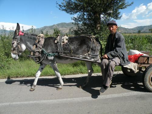 “移动摆摊鼻祖”，只卖服务不卖商品，光武帝刘秀的“顺风驴车”