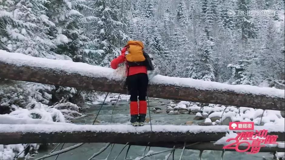 横冲直撞20岁波兰,横冲直撞20岁评价