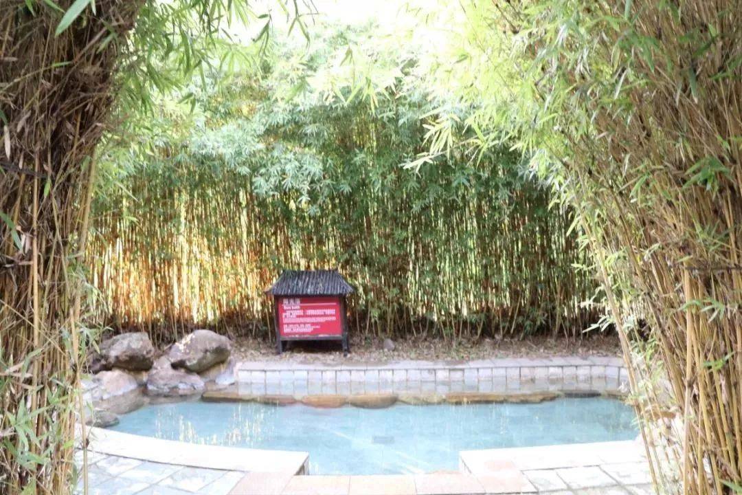 森波拉温泉度假村两天一夜游,倒数跨年狂欢夜