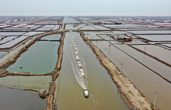 收获海盐,海盐航拍震撼全景