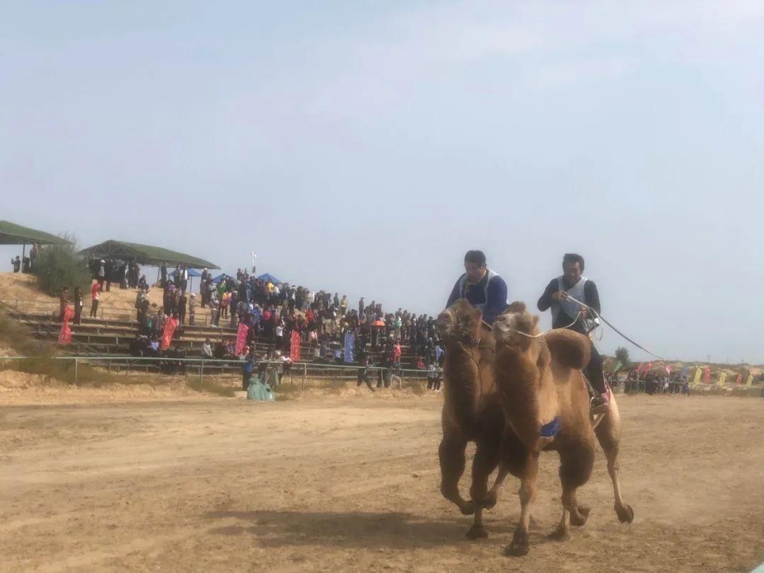 赛马比赛马背上的民族,马背上的民族赛马威武