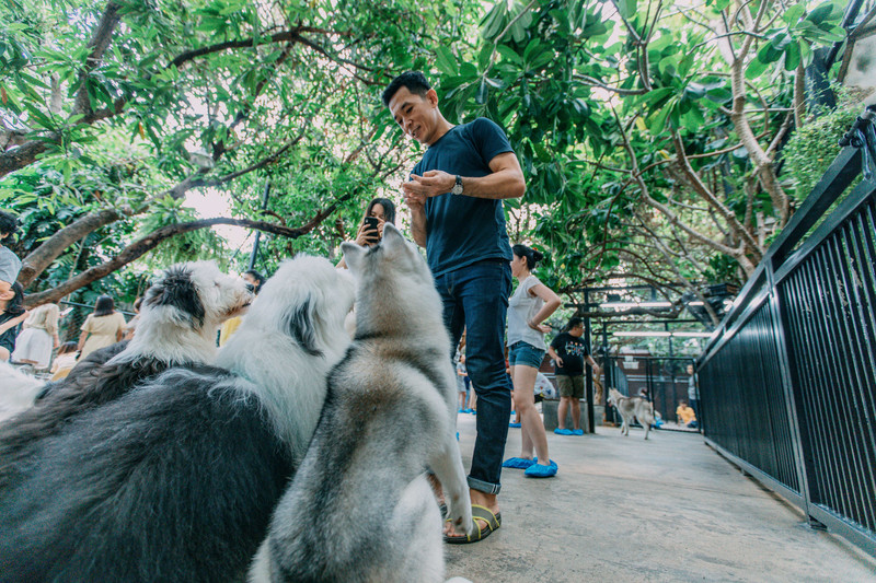 多次曼谷,整理了这份美食攻略,曼谷怎么吃,戳进来