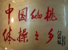 亚洲体操之乡湖北仙桃,仙桃体操之乡