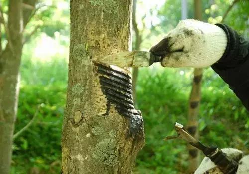 大漆酒葫芦详细制作过程,酒葫芦防渗处理视频