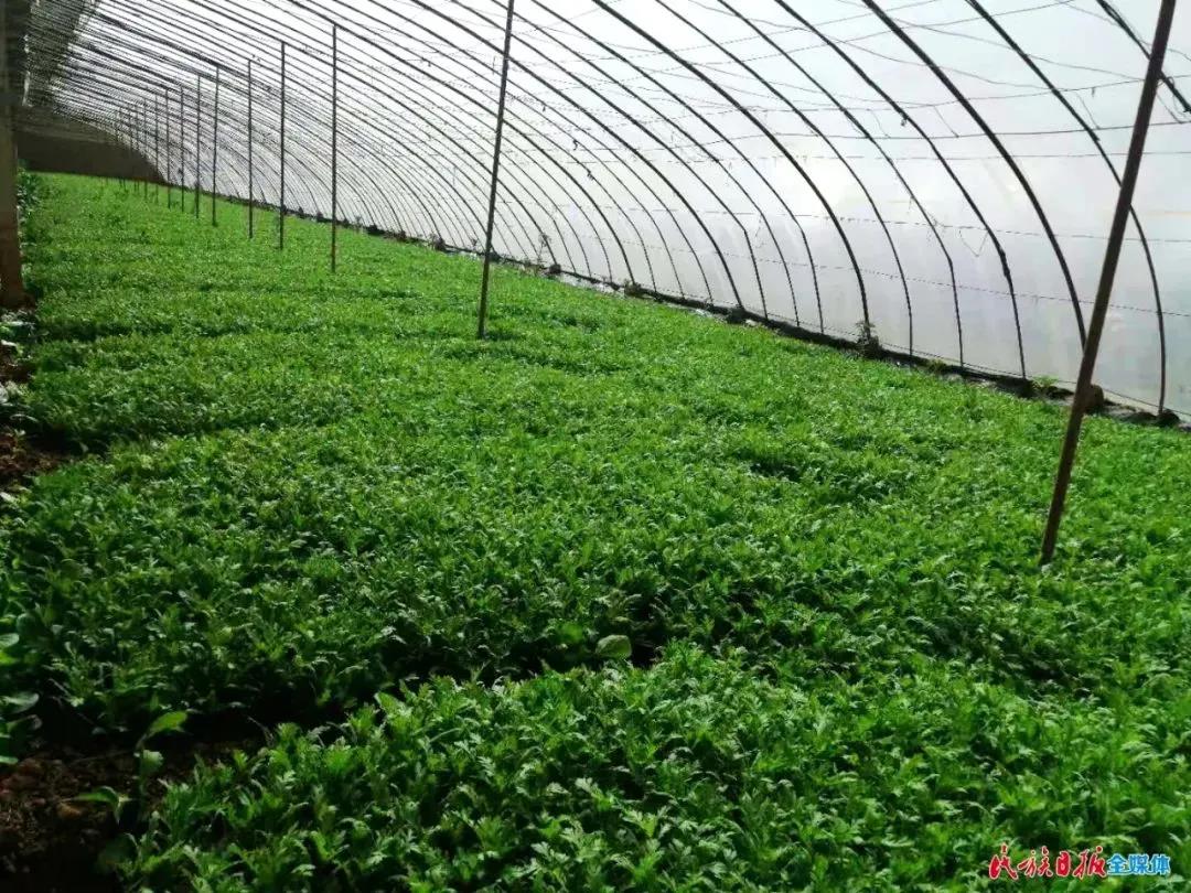 临夏市创业贷款最新消息,临夏市创业贷款能贷多少