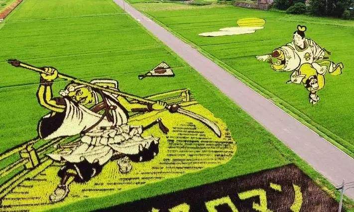 代表着先进小农经济的日本，农业情况其实并不乐观？