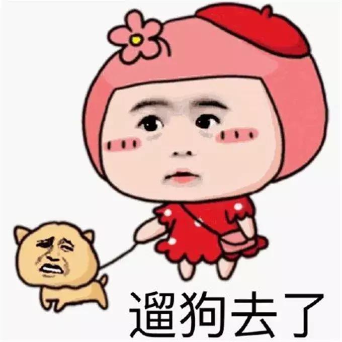 宣化养犬新规定,河北养犬最新规定