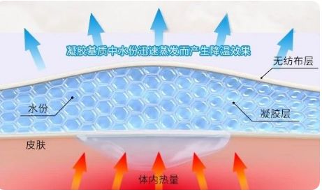 退热贴对发烧真的有用吗,发烧退热贴真的有用吗