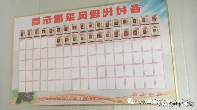 运城市金蝉养殖基地,山西乃萌金蝉养殖合作社