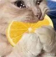 sunshine组合成员现状,sunshine组合重组