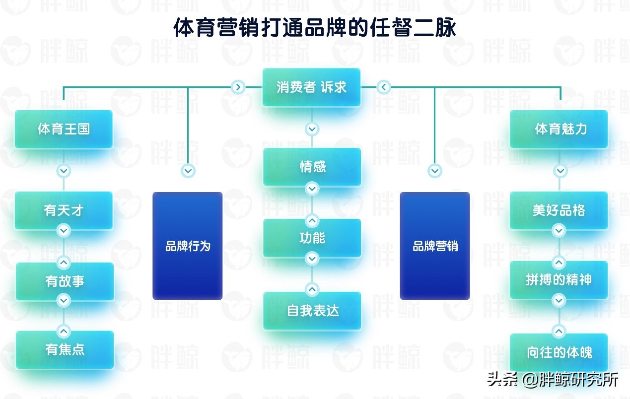 体育品牌营销,品牌价值构建和体育营销