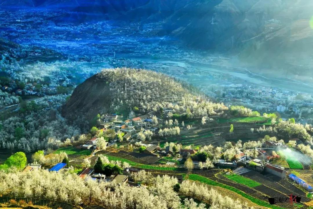 3月川西惊艳了所有人,千树万树梨花开川西