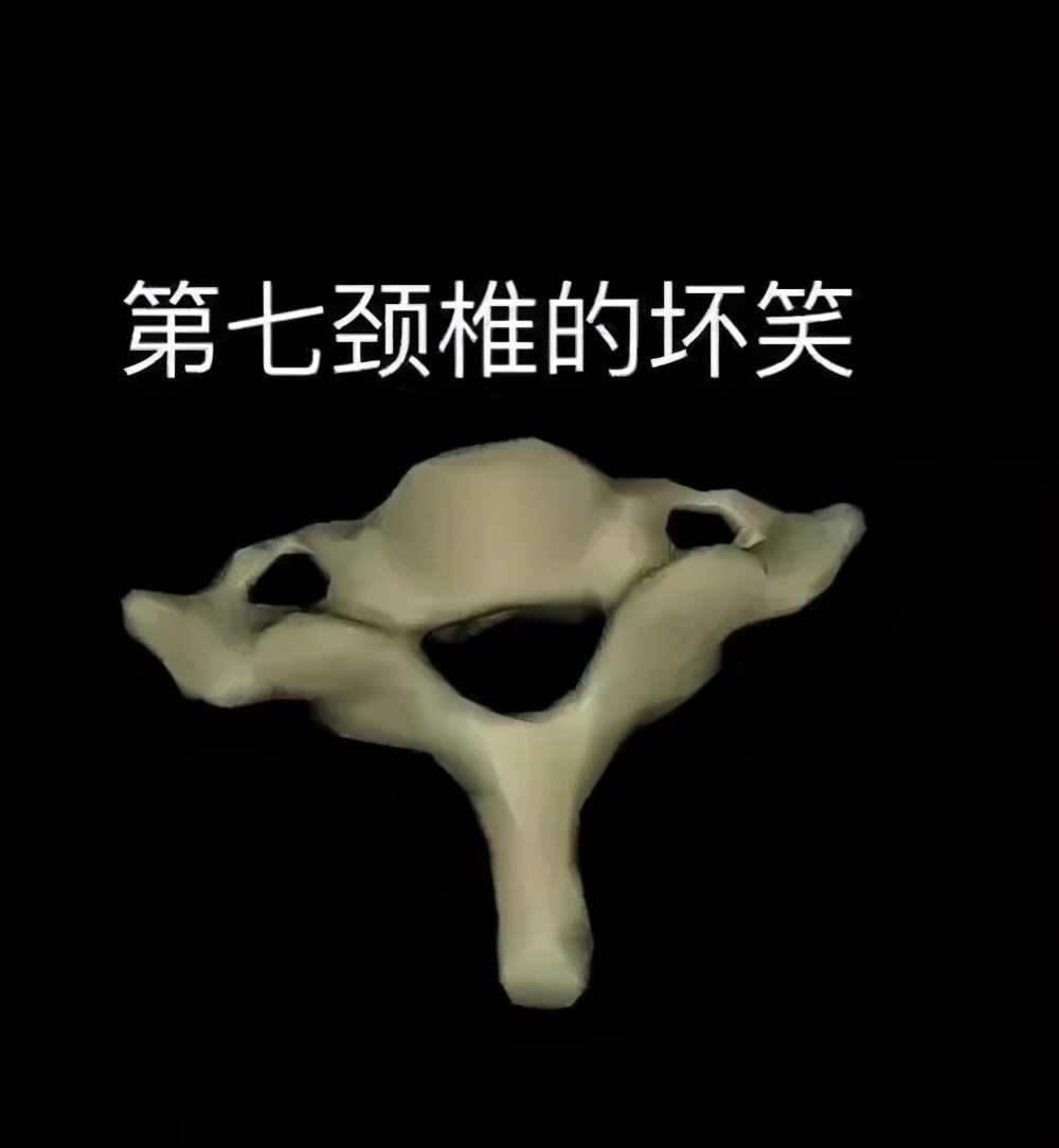 医学生学习打卡做题,医学生学习成果检验视频