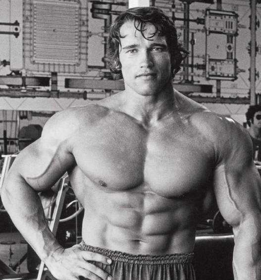 卷腹最好的腹部运动,卷腹轮是怎么减掉腹部赘肉