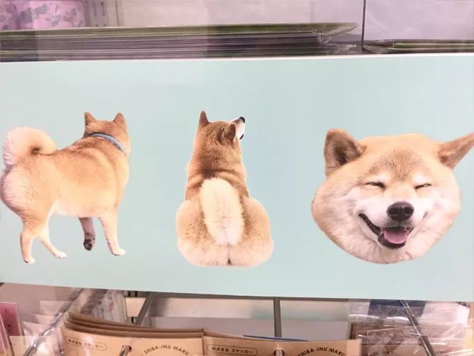 日本高级百元店必买清单,去日本必买的百元店