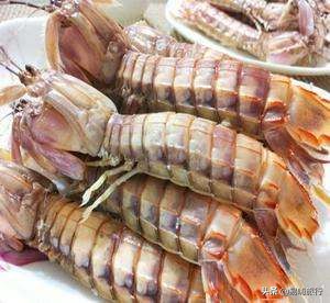 天津周边踏春好地方,天津一日游踏春路线