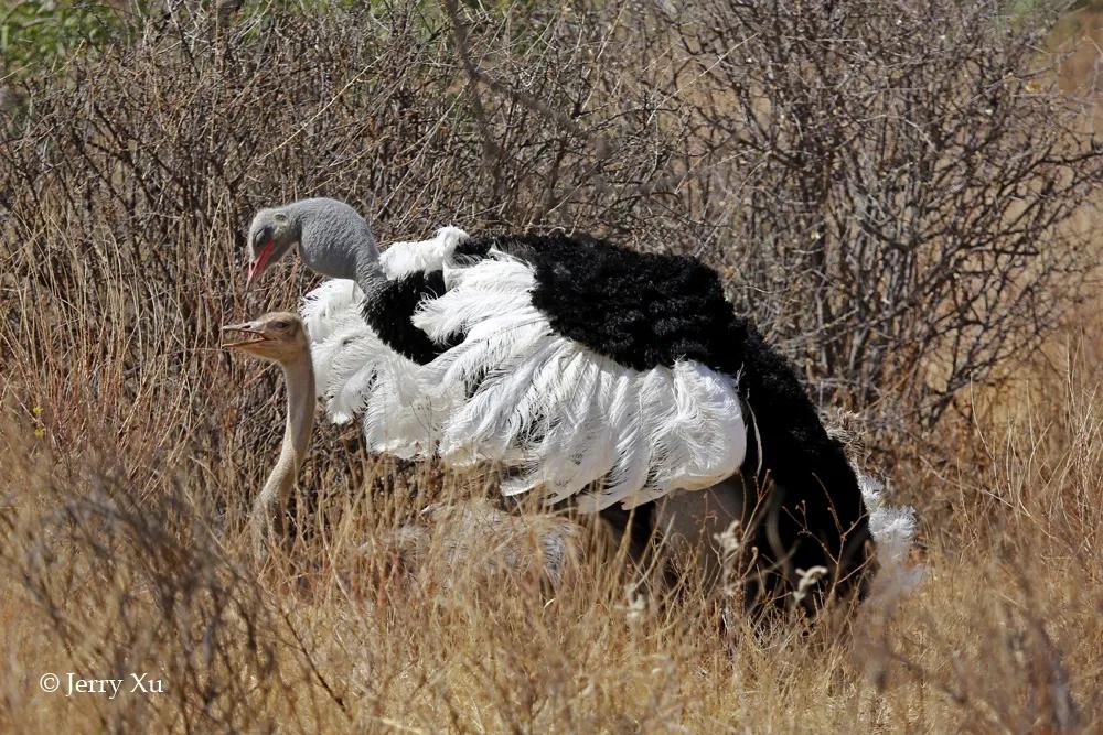 情人节,就该和爱的人*爱做**做的事