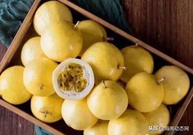 在海南万宁感受海滩风光,海南万宁必吃