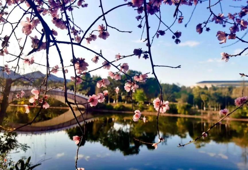 重庆还有这么一所特色大学，*小平邓**胞弟出任校长，办学历史可追溯至114年前！