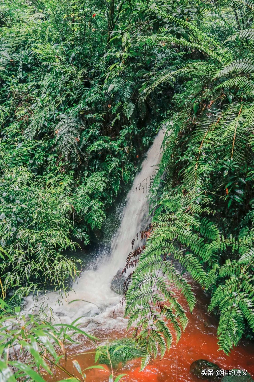 赤水大瀑布 侏罗纪公园 (贵州赤水侏罗纪公园攻略)