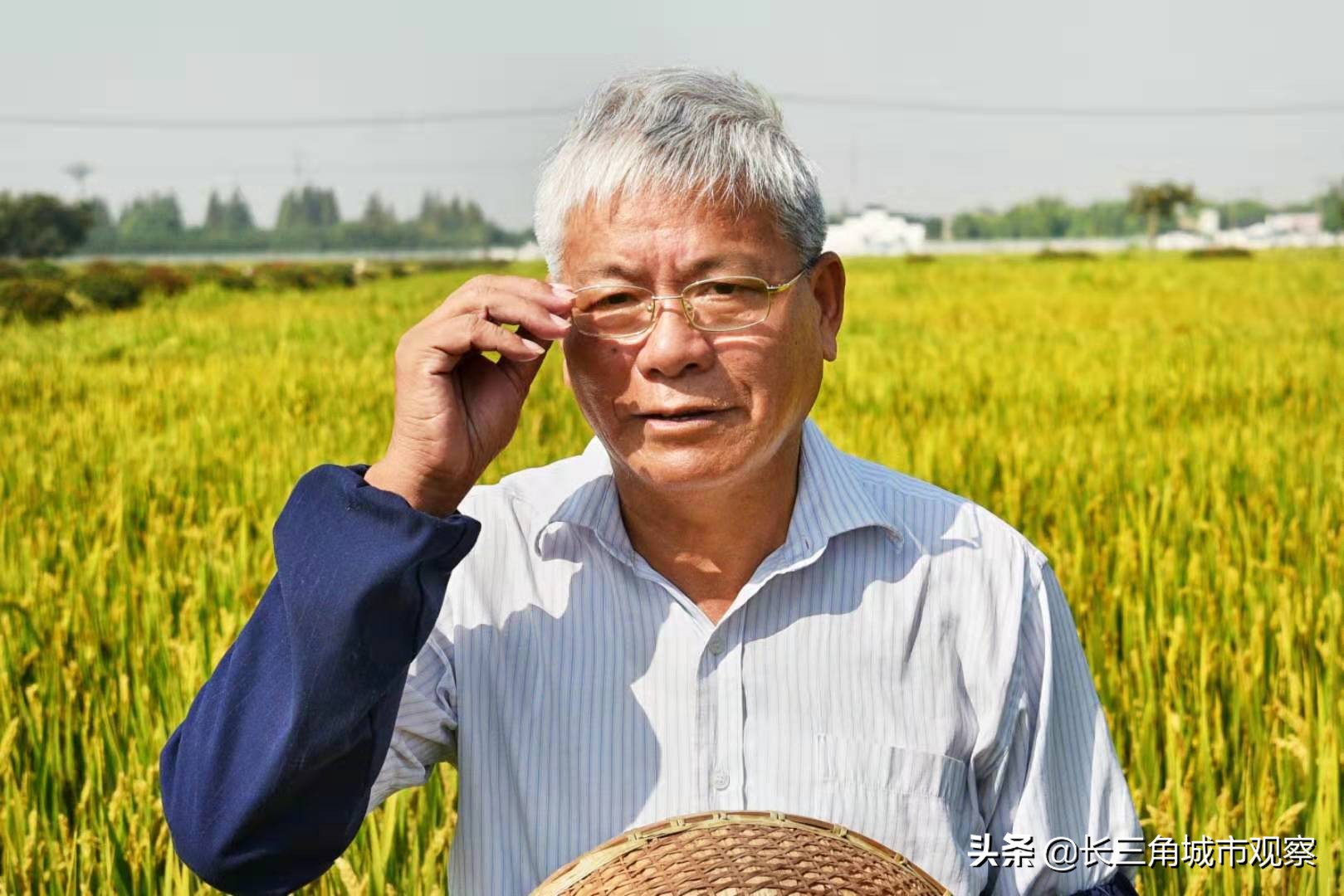 新时代最美常熟人系列报道之一:水稻育种专家端木银熙