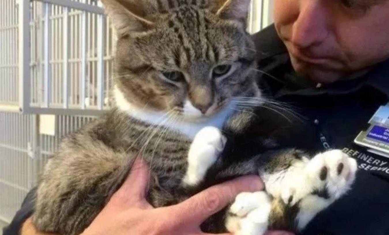 疫情中的替代性创伤,疫情替代性创伤