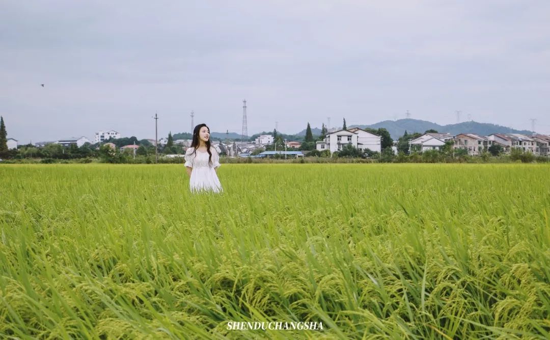 长沙旅游攻略必玩的十大景点介绍,长沙适合秋季打卡的景点