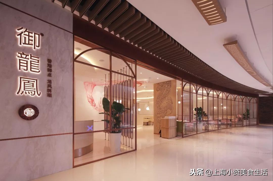 大锦鲤top店,大锦鲤适合吃的鱼食