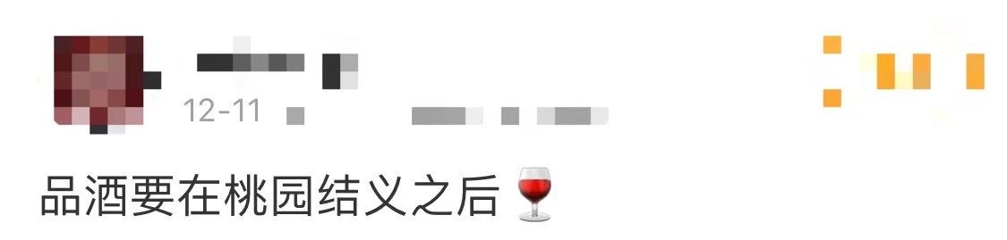 《在下张飞有何贵干》，日式四大名著的名字太有内味了