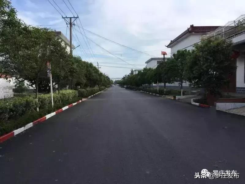 罗庄生活怎么样,罗庄哪几个村最好