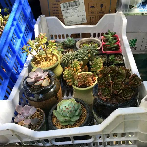 顺风不浪逆风不怂文字图片,顺风不飘逆风不怂绝境不慌