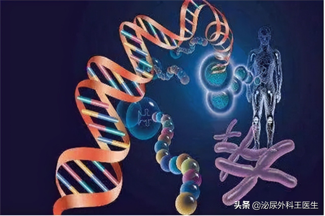 男性一生最多只能排6000次精？这3个精液知识，男女都应知道