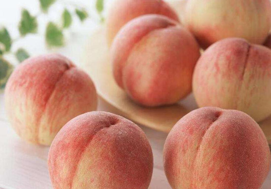 三年的桃树如何嫁接换其它品种,盆栽桃树如何修剪才能快速结桃