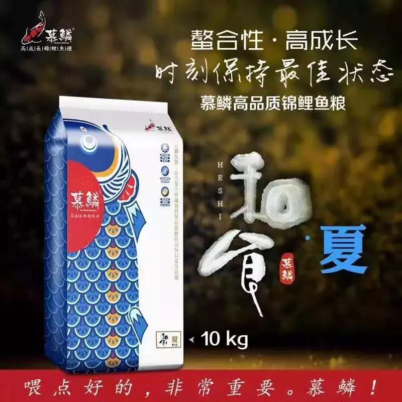 鲤鱼嘴里有没有鱼石,鲤鱼嘴巴没牙齿
