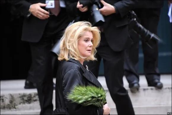 法国十大顶级女神,法国最美的女人超模