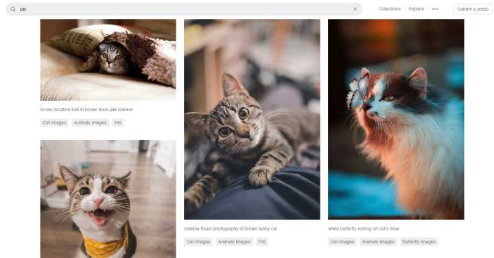 高清视频素材网站想要你就来