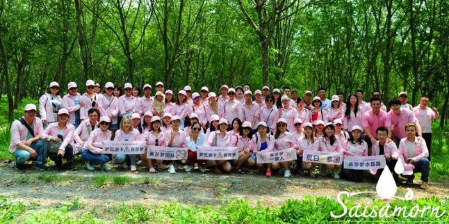 赛莎梦乳胶内衣直销,泰国赛梦莎乳胶内衣价格