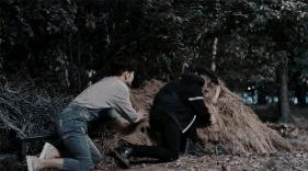 杨洋有多值得被喜欢,杨洋的偶像包袱终被卸下