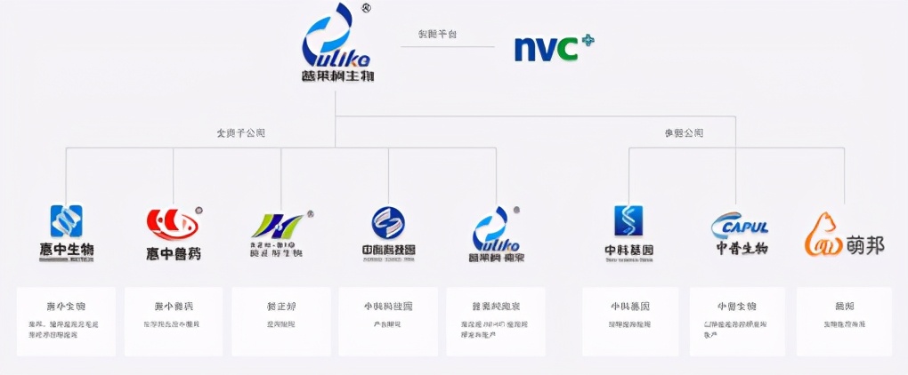 普莱柯猪瘟疫苗,普莱柯疫苗和青岛易邦哪个好