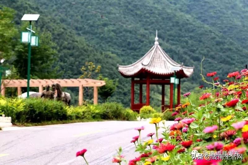 我叫成县，这是我2019年的自拍照