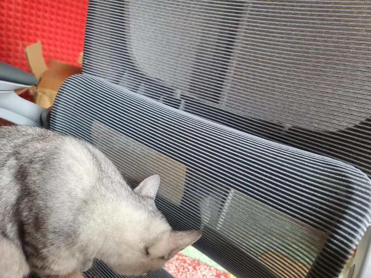 实测一把久坐腰不痛的智能办公椅,网易人体工学椅推荐