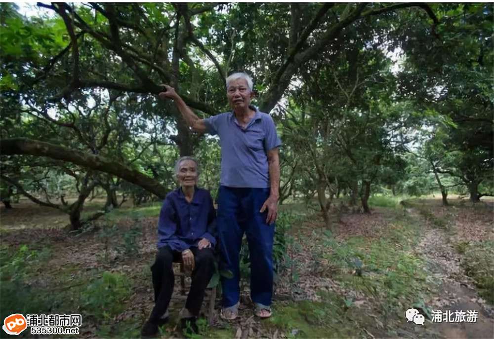广西浦北钦州旅游详细攻略,广西浦北5a级景区