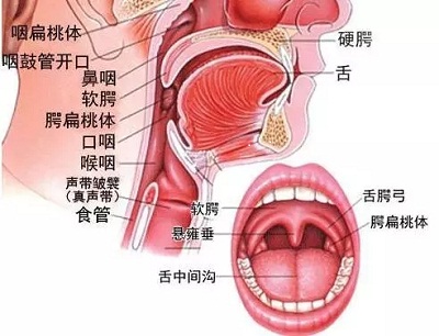宝宝扁桃体发炎怎么预防最好,小孩扁桃体炎平时怎么预防