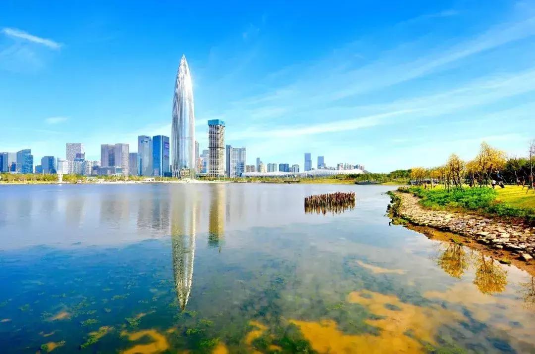 「首发」深圳湾第一高楼!400米“春笋”曝光,这办公室颜值……