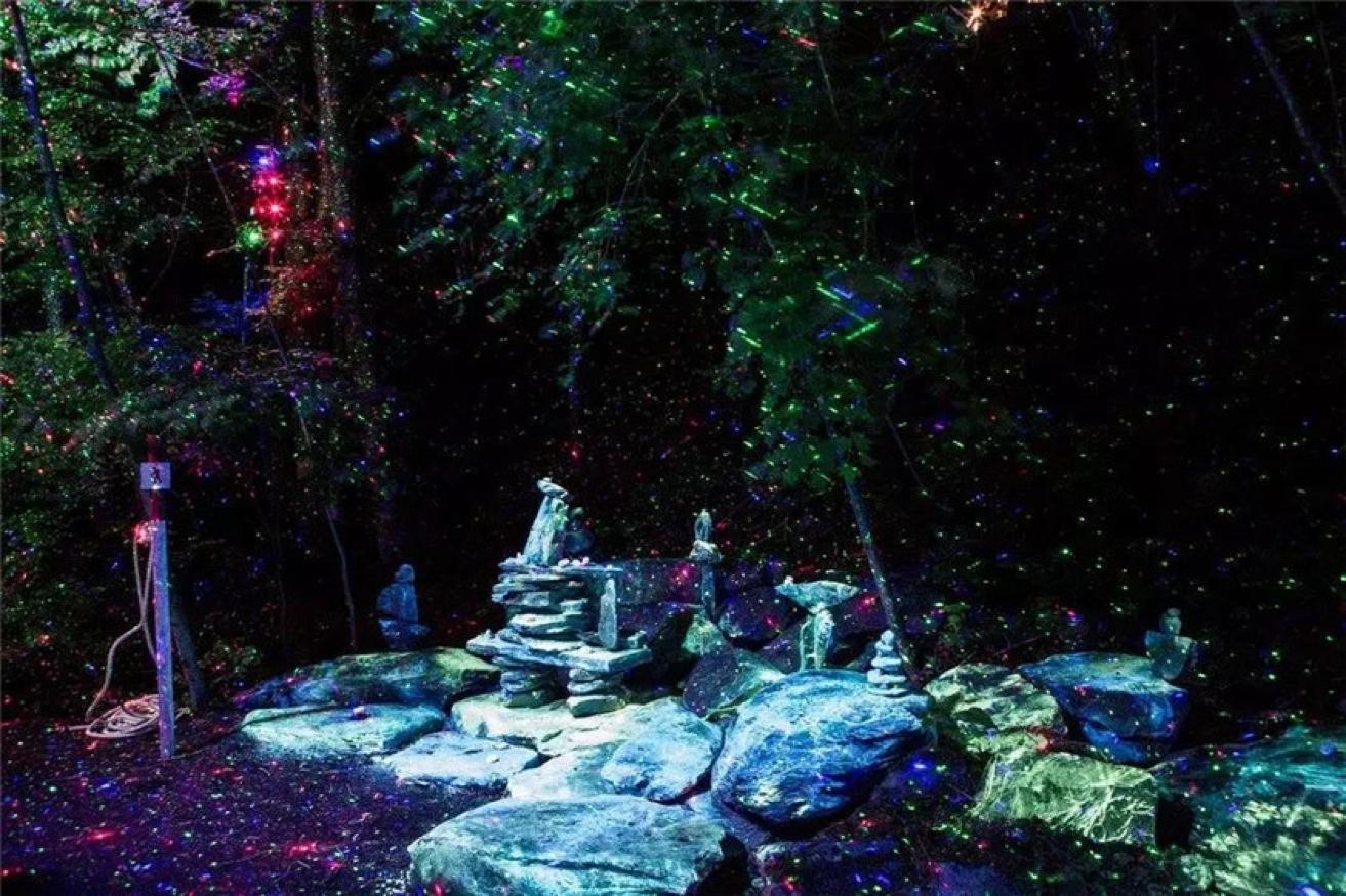 新加坡夜间动物园都有什么动物,新加坡动物园开放时间