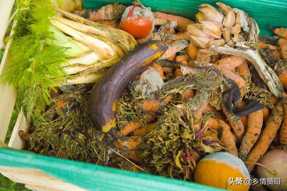 农村夏季如何驱除苍蝇,驱赶苍蝇最简单实用的办法