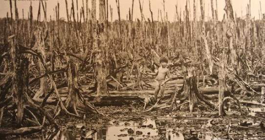 越战美国橙剂使用在哪些战区,美军越战空投橙剂视频