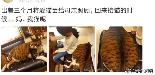 开心一刻冰天雪地,开心一刻轻松时刻