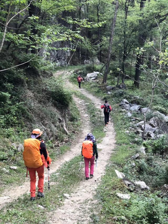 智者乐山仁者乐水谁作的诗,智者乐山仁者喜水